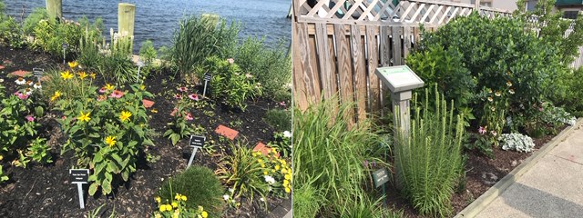 ButterflyGardenBay_DPW